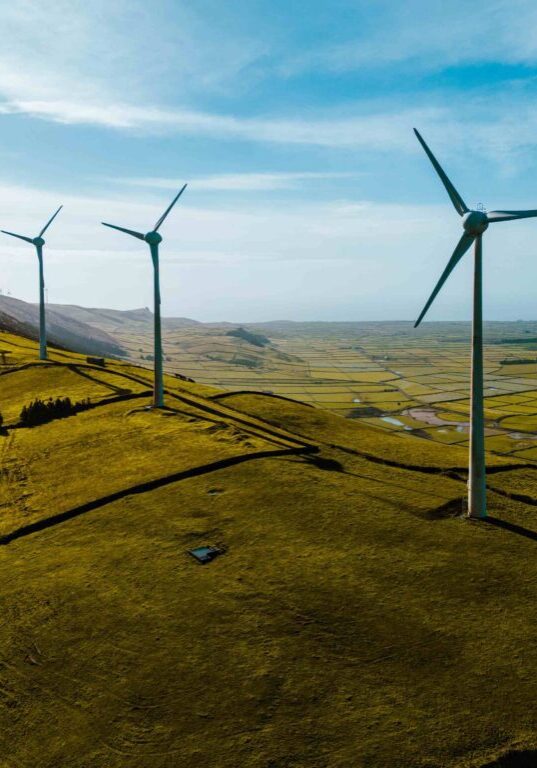 Wind turbines on a green hillside.